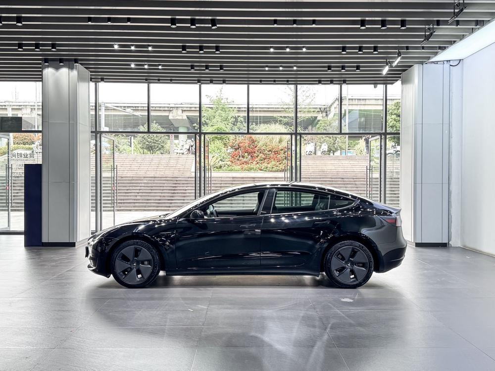 Tesla Model 3 2021 car image #4