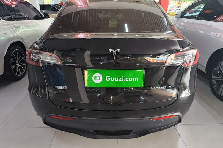 Tesla Model Y 2021 car image #6