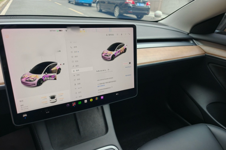 Tesla Model 3 2021 #19 Tesla Model 3 2021 imagem de carro #19