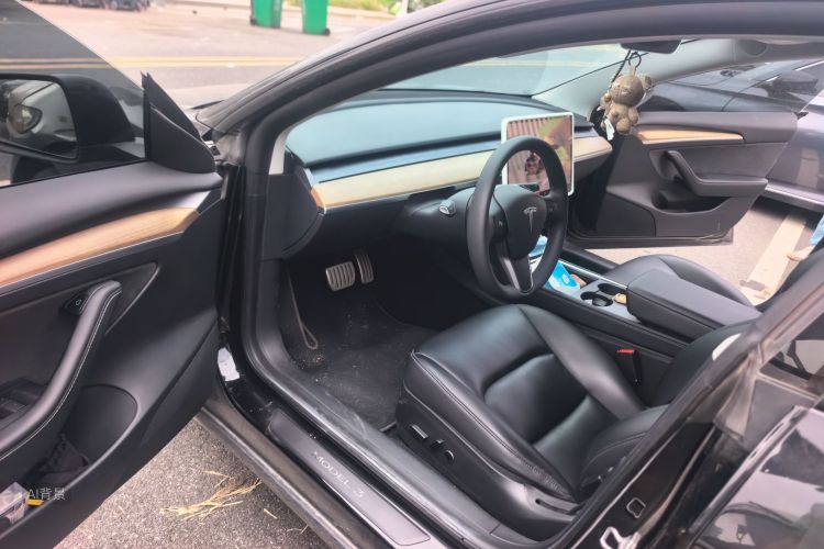 Tesla Model 3 2021 car image #18