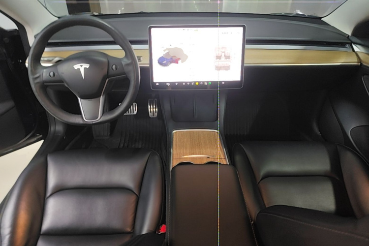 Tesla Model 3 2021 immagine di auto #10