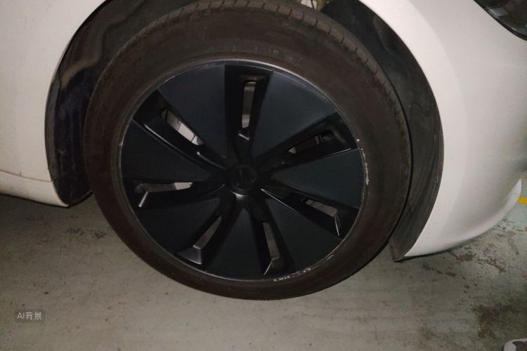 Tesla Model 3 2023 car image #9