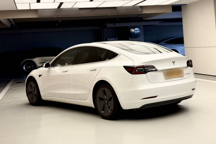 Tesla Model 3 2020 car image #6