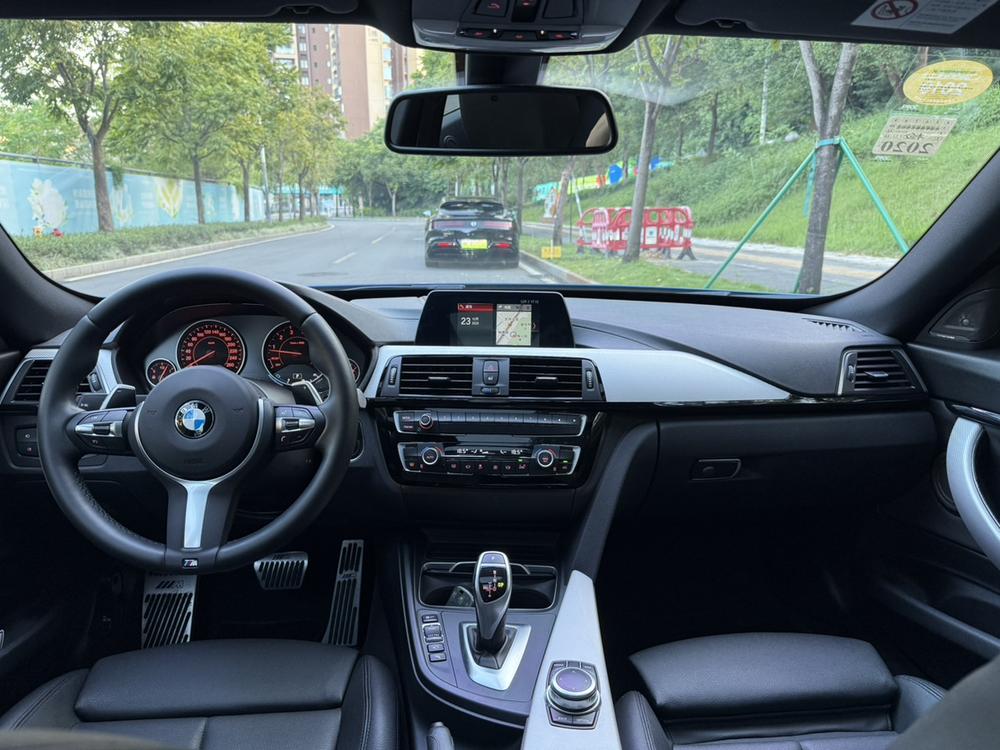 BMW 3 Series GT 2018 car image #9