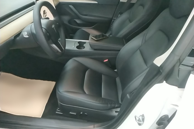 Tesla Model 3 2021 car image #19