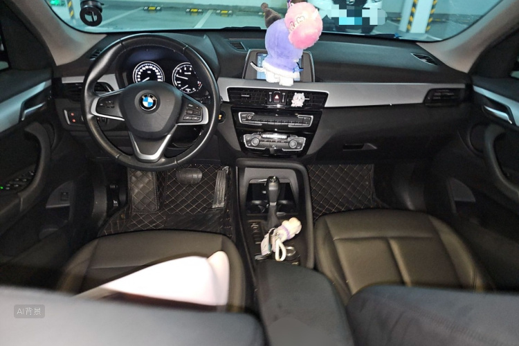 BMW X1 2019 car image #11