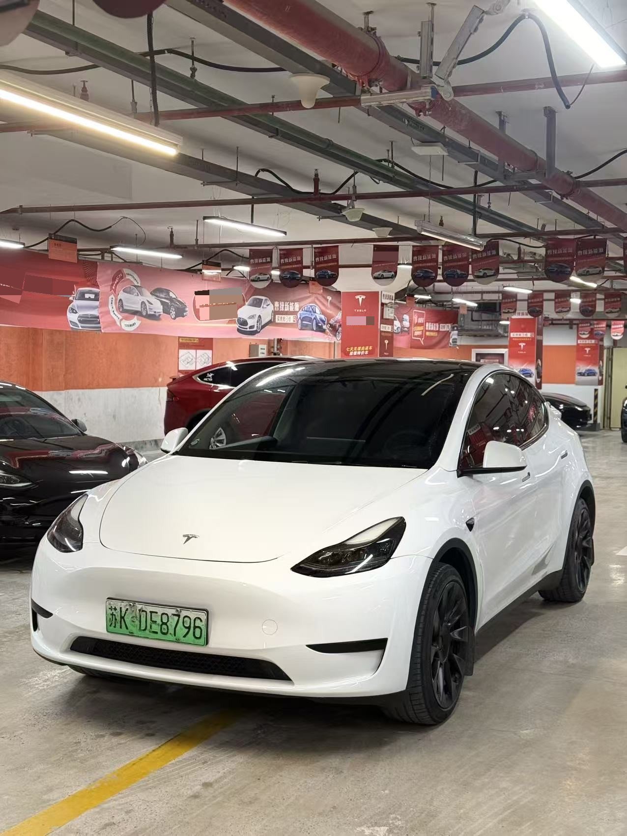 Tesla Model Y 2024 car image 