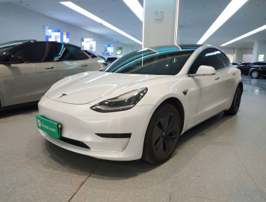 Tesla Model 3 2020 Tesla Model 3 2020 car image
