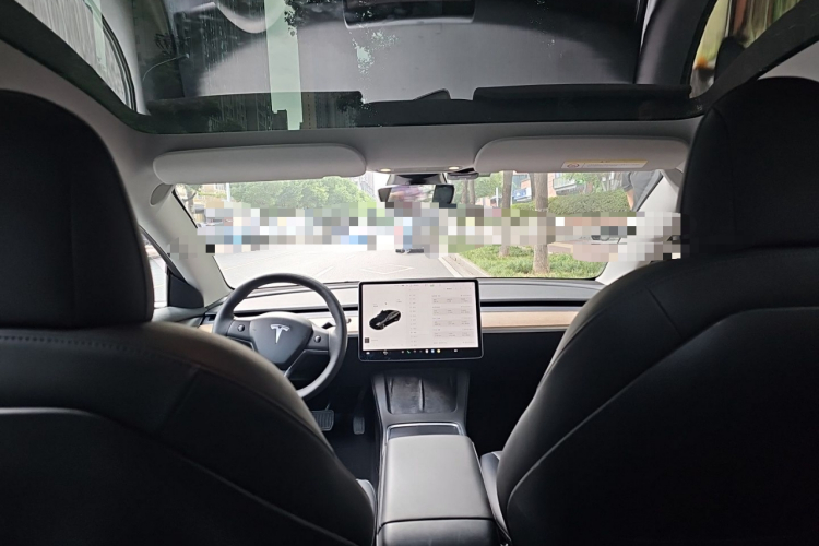 Tesla Model 3 2021 immagine di auto #16