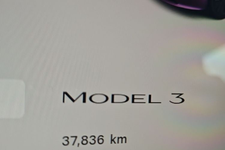Tesla Model 3 2024 #12 Tesla Model 3 2024 car image #12