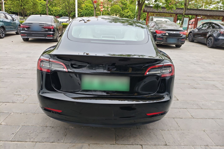 Tesla Model 3 2023 car image #6