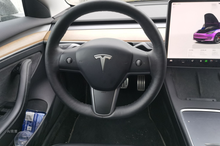 Tesla Model 3 2022 #12 Tesla Model 3 2022 car image #12