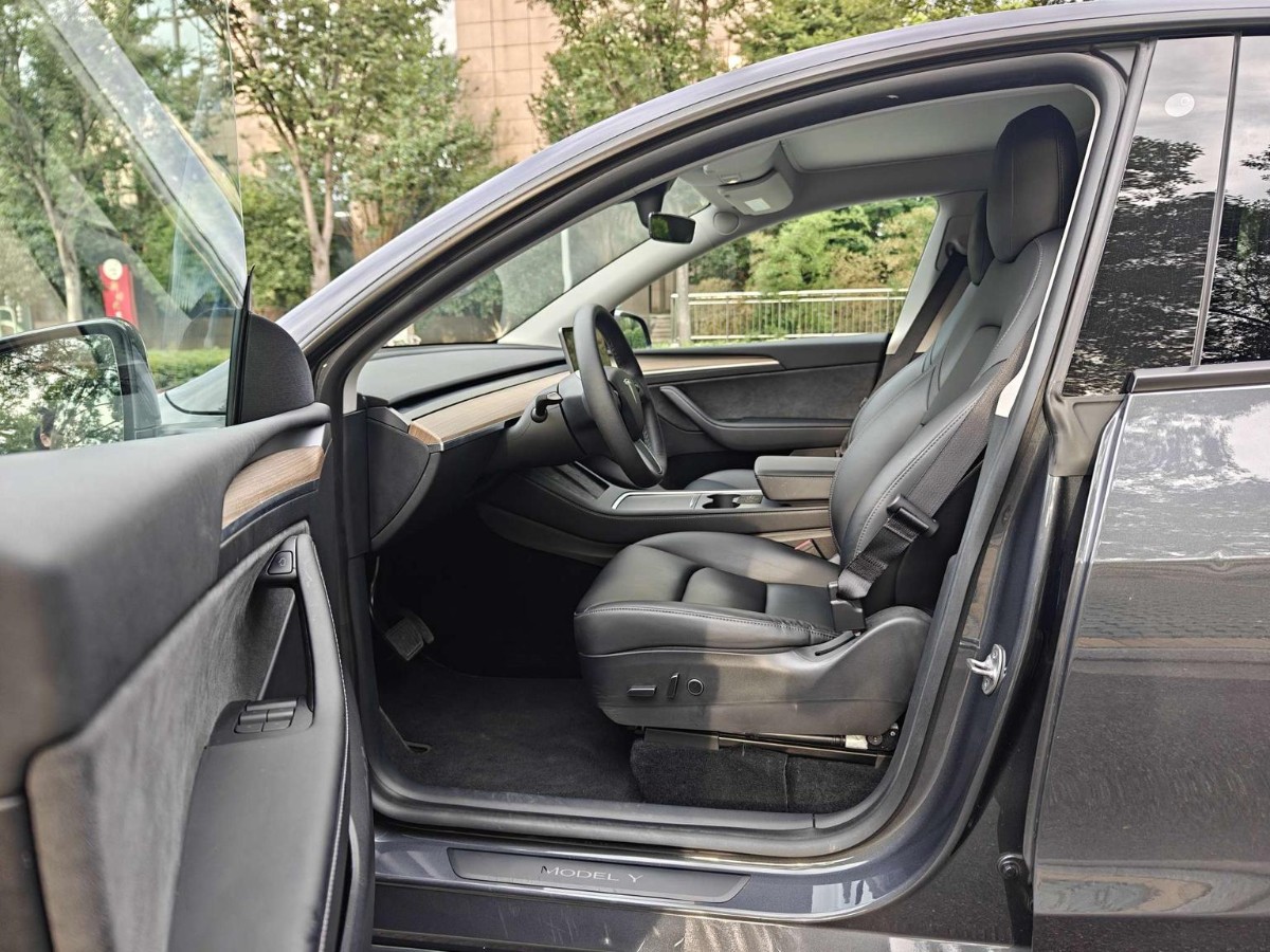Tesla Model Y 2021 car image #2