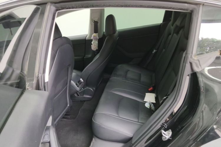 Tesla Model 3 2021 car image #13