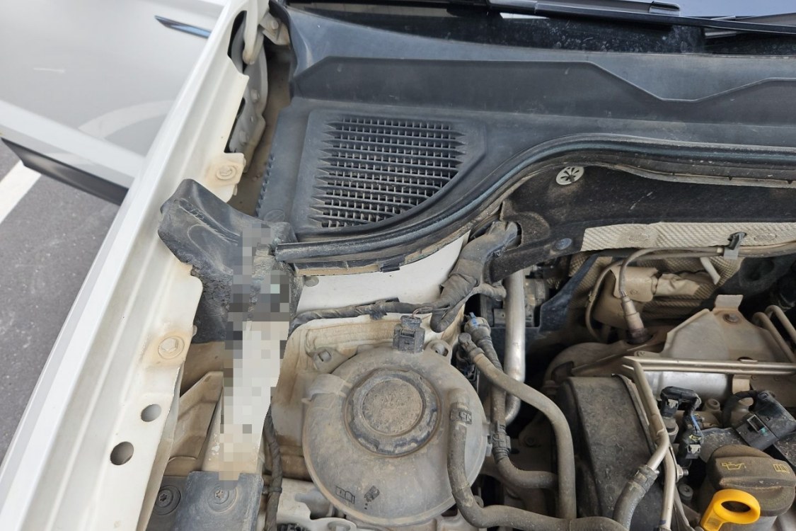 Volkswagen Tharu 2020 car image #11