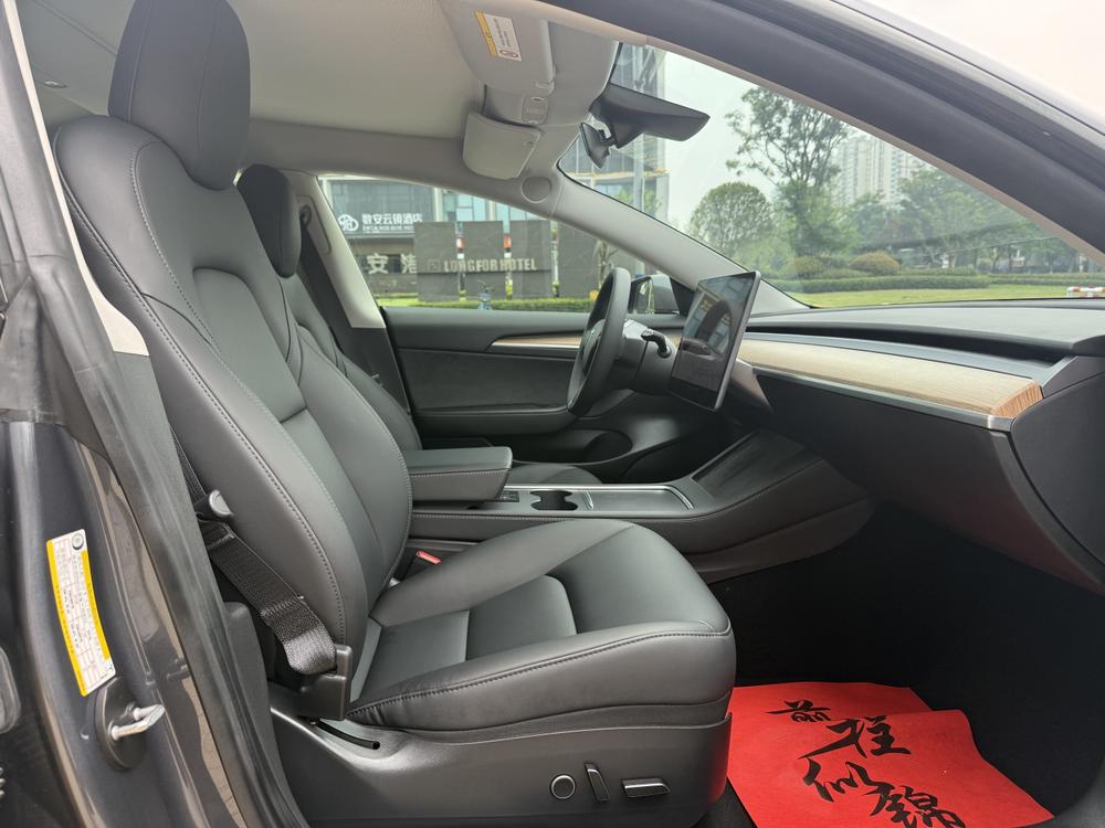 Tesla Model 3 2021 car image #15