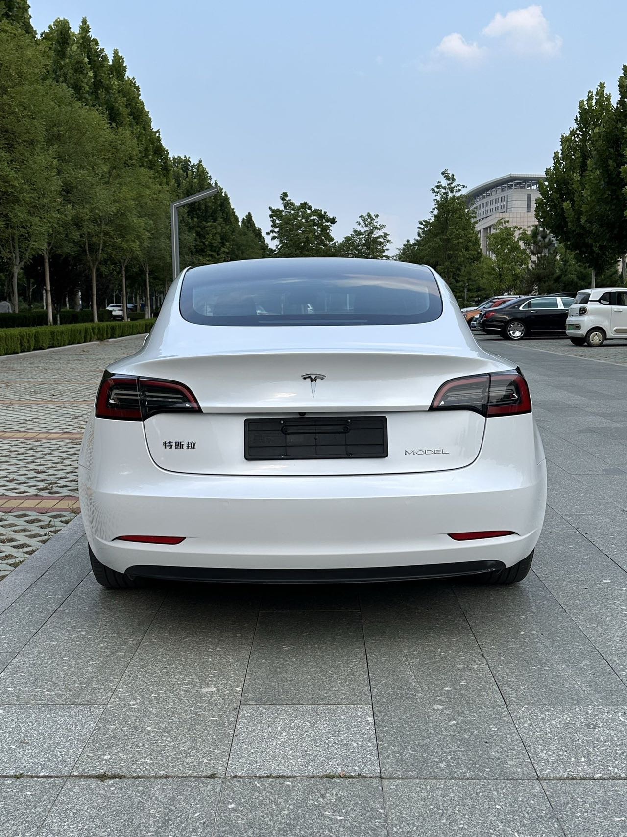 Tesla Model 3 2021 car image #5