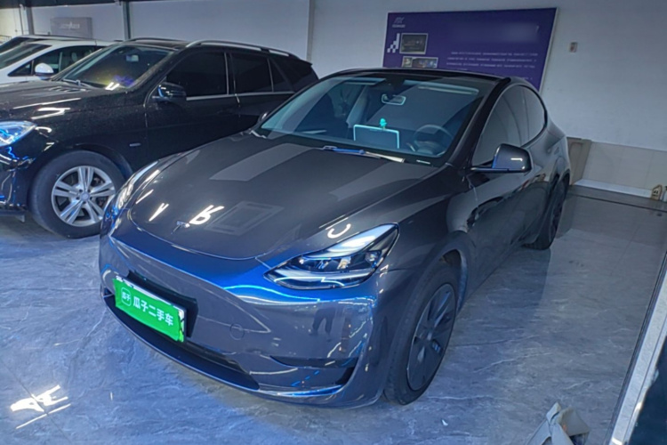 Tesla Model Y 2025 car image #2