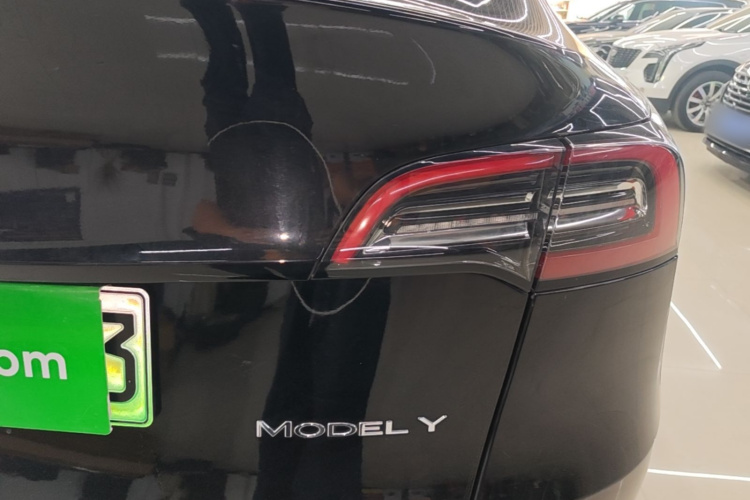 Tesla Model Y 2021 car image #8