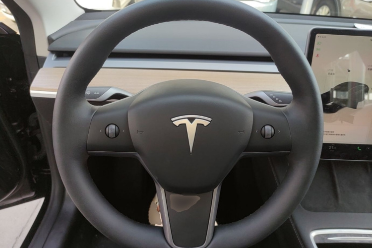 Tesla Model 3 2023 car image #11