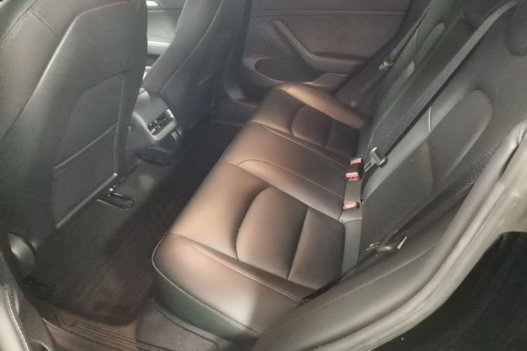 Tesla Model 3 2021 immagine di auto #17