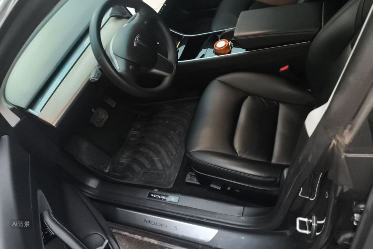 Tesla Model 3 2020 car image #17