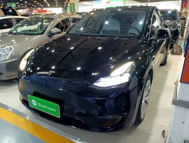 Tesla Model Y 2022 Tesla Model Y 2022 car image