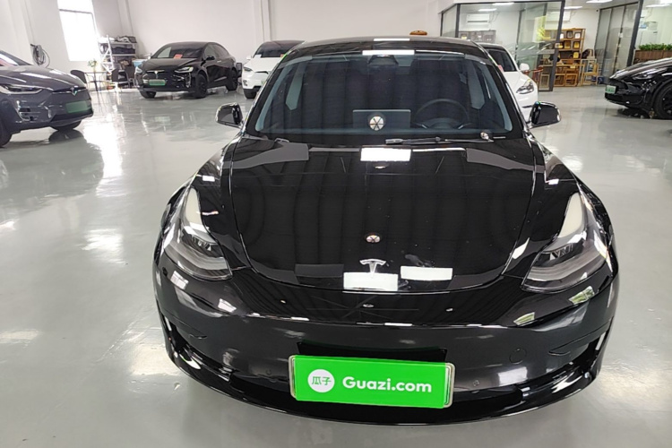 Tesla Model 3 2021 car image #3