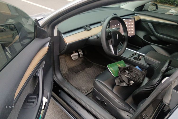 Tesla Model 3 2022 #18 Tesla Model 3 2022 car image #18