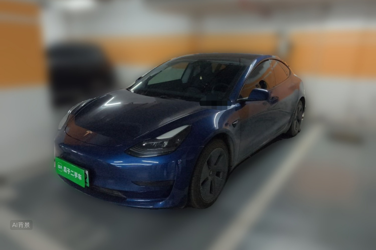Tesla Model 3 2021 car image #2