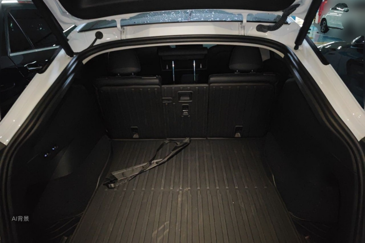 Tesla Model Y 2023 car image #21