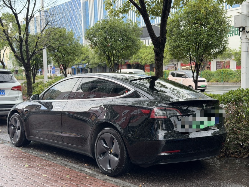 Tesla Model 3 2020 #2 Tesla Model 3 2020 car image #2