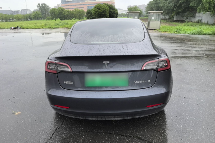 Tesla Model 3 2021 car image #4