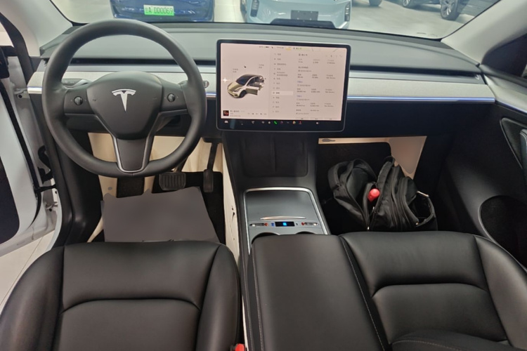 Tesla Model Y 2023 #10 Tesla Model Y 2023 car image #10