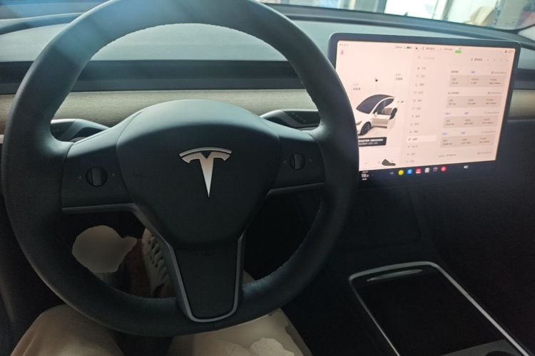 Tesla Model Y 2022 car image #10