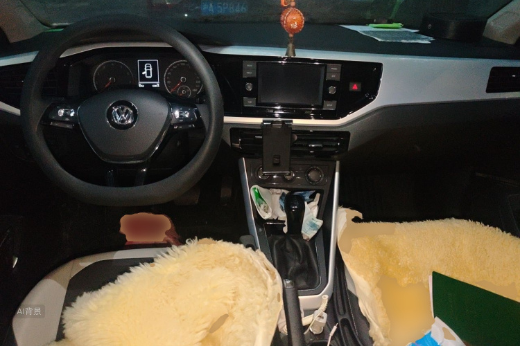 Volkswagen Polo 2021 car image #11
