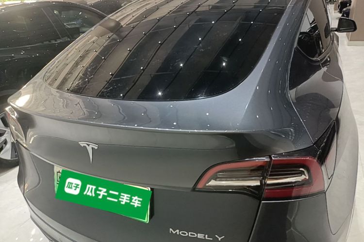 Tesla Model Y 2021 car image #6