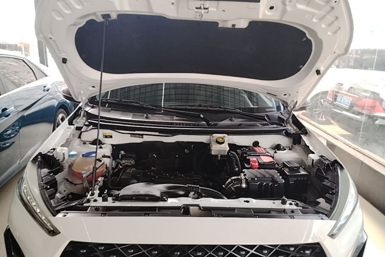 Chery Tiggo 3x 2021 #20 Chery Tiggo 3x 2021 car image #20