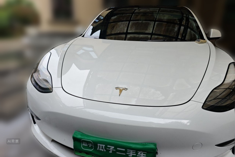 Tesla Model 3 2021 #3 Tesla Model 3 2021 car image #3