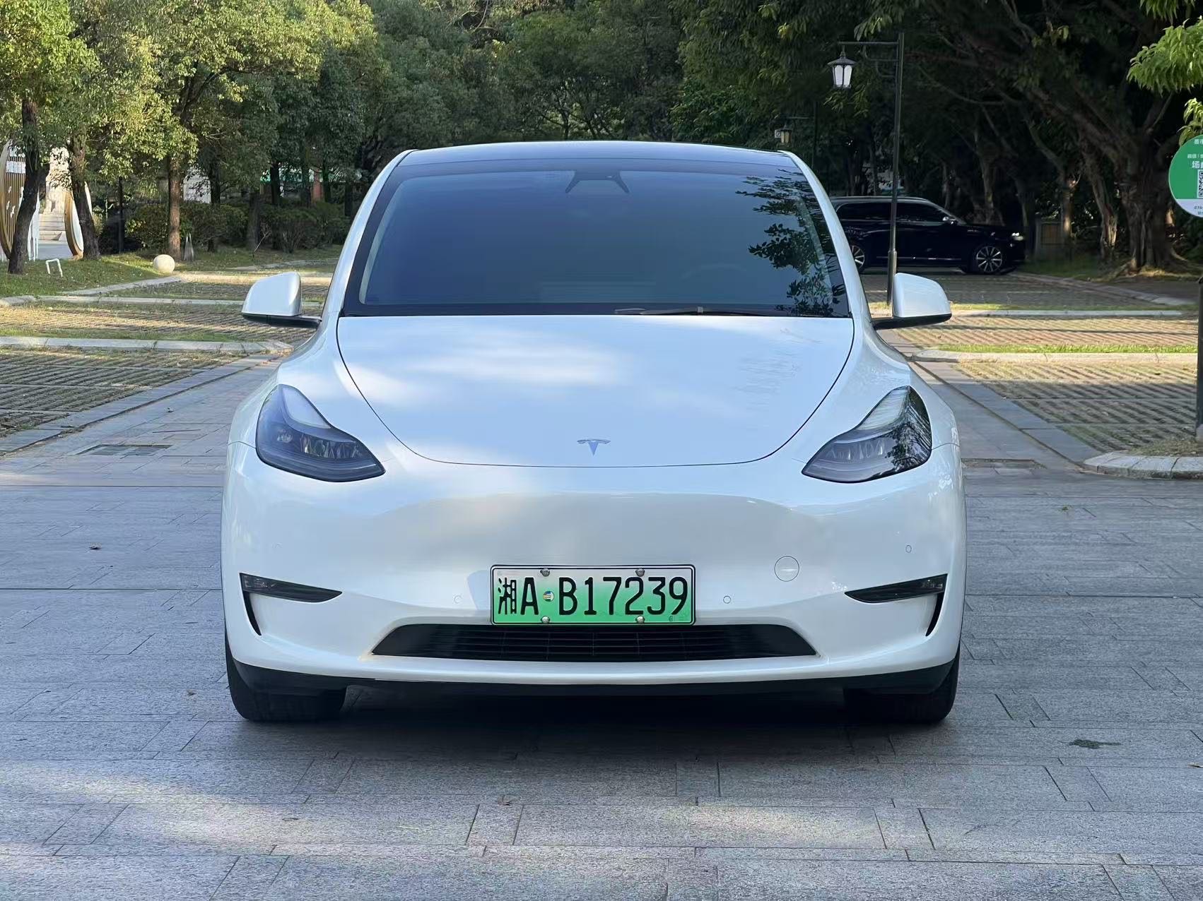 Tesla Model Y 2021 #2 Tesla Model Y 2021 car image #2