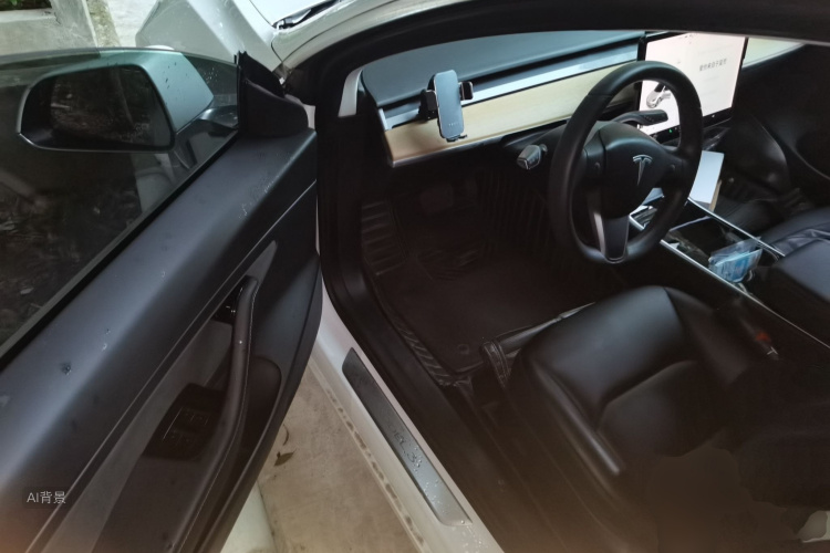 Tesla Model 3 2020 car image #18