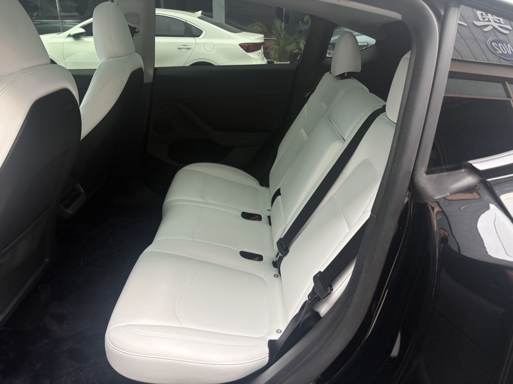 Tesla Model Y 2023 immagine di auto #8