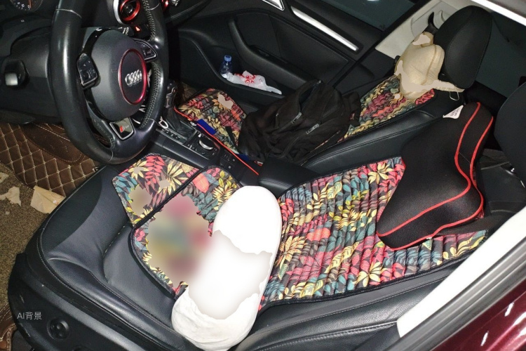 Audi A3 2017 imagen de coche #17