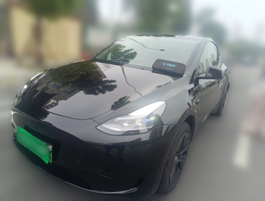 Tesla Model Y 2024 car image 