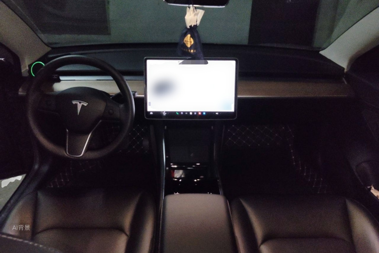 Tesla Model 3 2020 car image #11