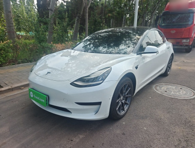 Tesla Model 3 2020 car image 