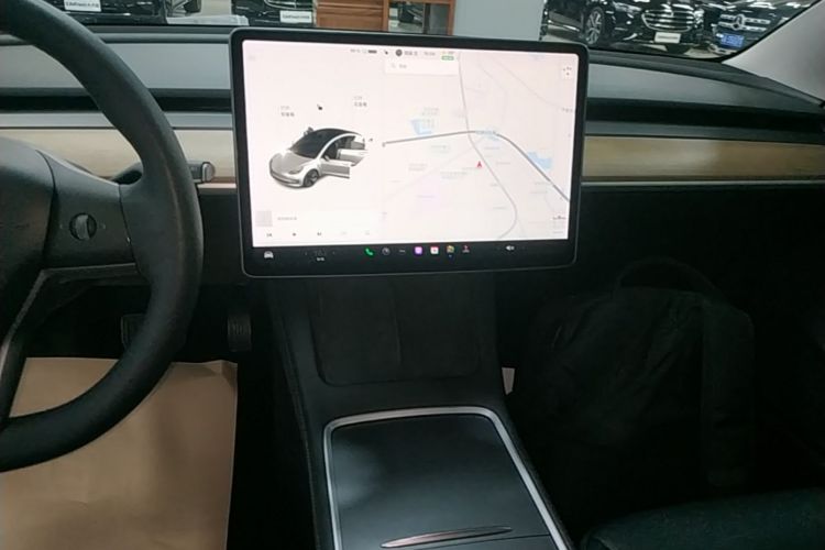Tesla Model 3 2021 car image #17