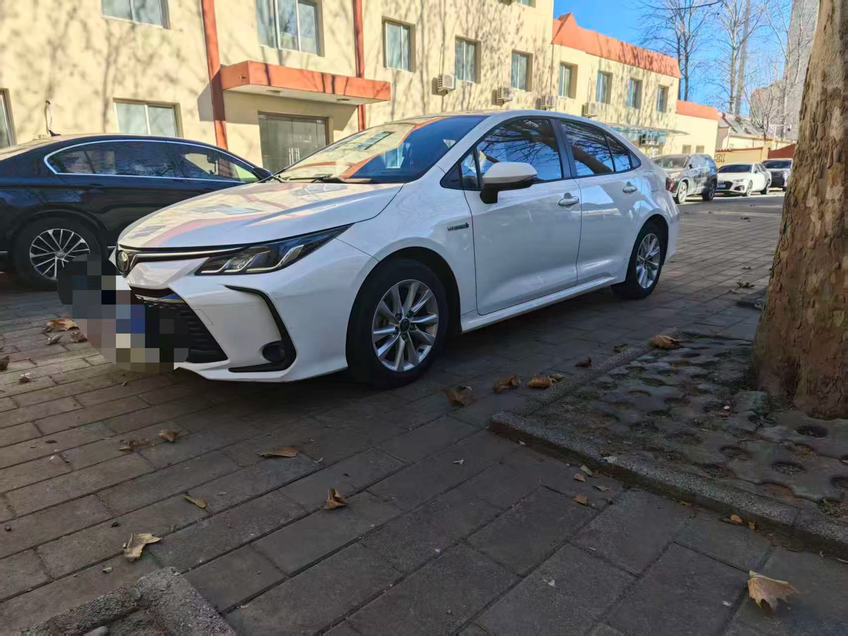 Toyota Corolla 2023 car image 