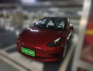 Tesla Model 3 2021 Tesla Model 3 2021 car image