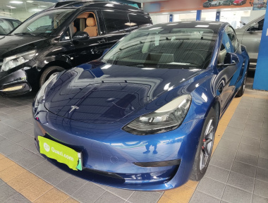 Tesla Model 3 2021 Tesla Model 3 2021 car image